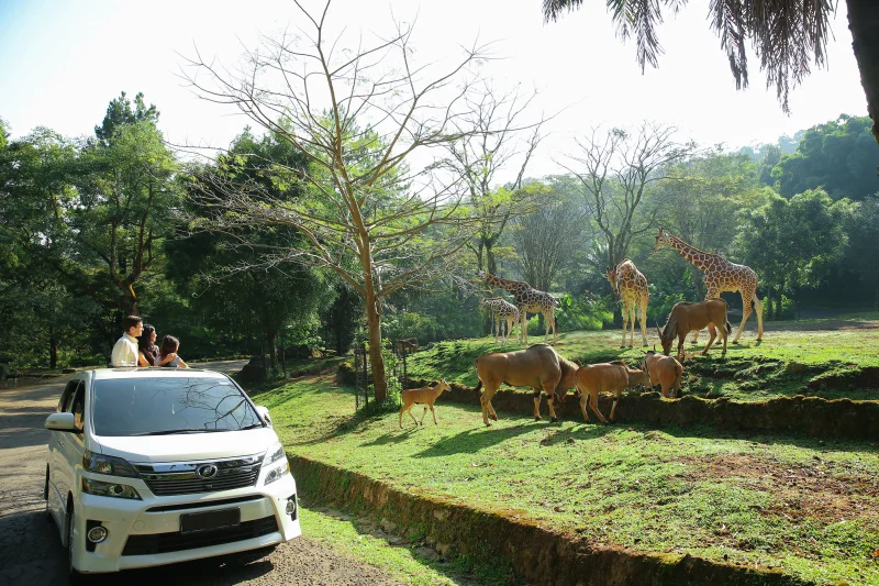 Wisata puncak